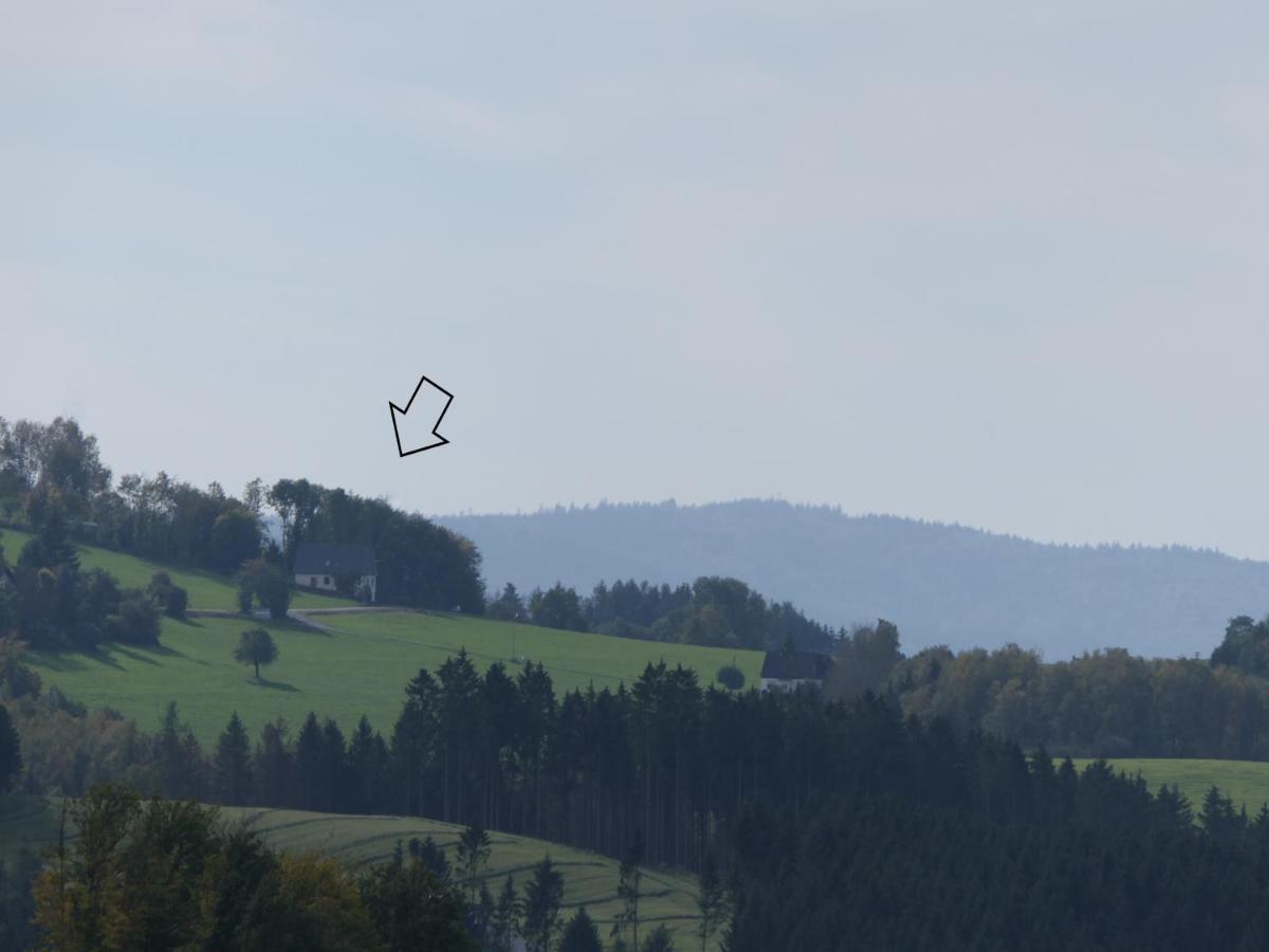 Sunnenviul